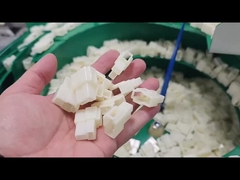 SinT_Plastic parts with bowl feeder