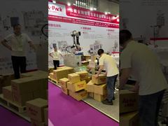 Automatic Palletizing for pallet cargo