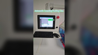 Automatic Counting Packing Line